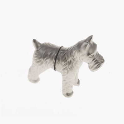 Magnesy – pies schnauzer