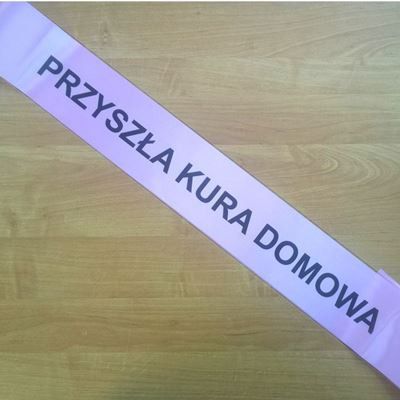 Szarfa - przyszła kura domowa