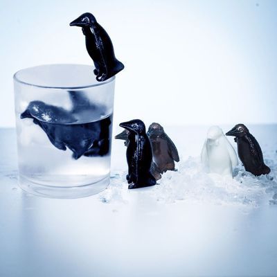 Chłodzące pingwiny