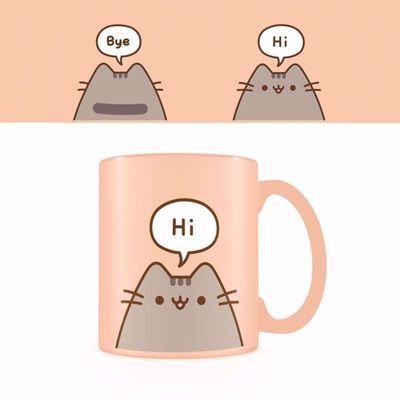 Pusheen – kubek hi / goodbye